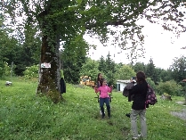 http://chardafon-orlovets.info/uploads/gallery_images/Ispolin_2015_mai_DSC02914 (247)_1076x807.JPG